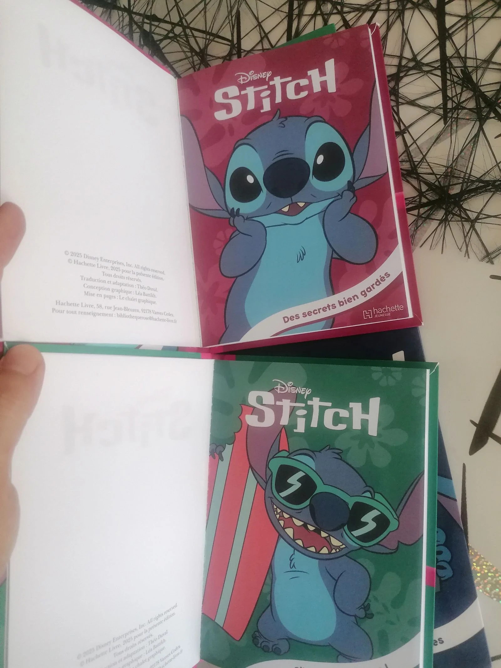 Lote de 6 libros Stitch biblioteca rosa 📚 – photo 14